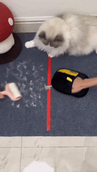 Gant anti-poils en action