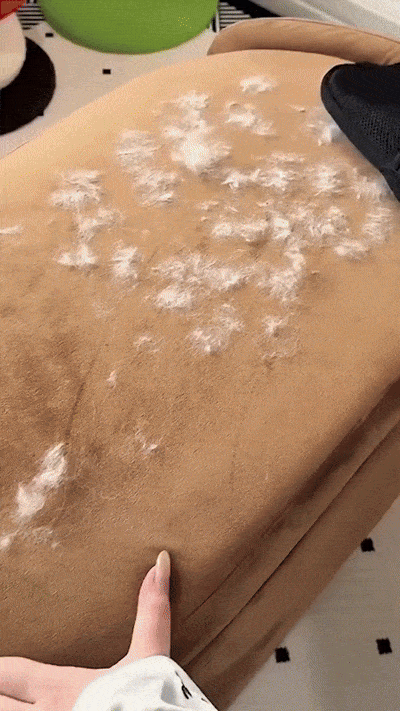 Gant anti-poils écologique et réutilisable